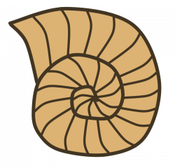 Fossils: Fossils Clipart