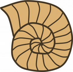 Clipart - Snail Shell