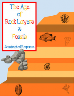 Rock Layers And Fossils Worksheets & Teaching Resources | TpT
