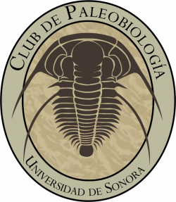 Image result for trilobite logo | Maze Ideas 2017 | Pinterest
