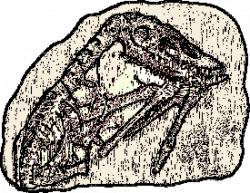 Dinosaur fossil clip art | Clipart Panda - Free Clipart Images