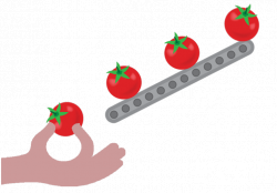 Gifs de alimentos: Tomatoes.Tomates | Cute | Pinterest