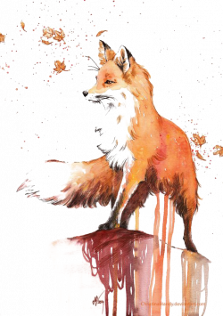 Fox Drawing Images at GetDrawings.com | Free for personal use Fox ...