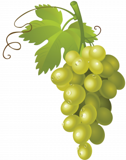 Cartoon green grapes 369467 - wild-thyme.info