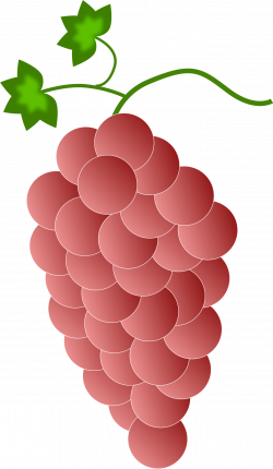 28+ Collection of Red Grapes Clipart | High quality, free cliparts ...