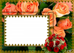 Flower Picture Frames Film frame Clip art - Abstract Floral Frame ...
