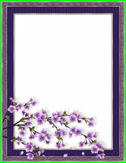 Best Purple Transparent Flower Frame Pic Of Lavender Trend And ...