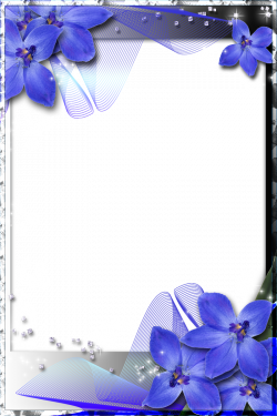 Beautiful Transparent Frame with Blue Orchids | ✍✄Printables ...