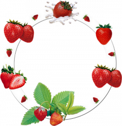 Cadre png : fraises - Strawberries : frame png - Fresas ...