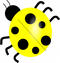 Yellow Ladybugs | Yellow Ladybug clip art - vector clip art online ...