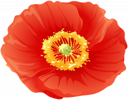 Red Poppy Flower Clip Art | Gallery Yopriceville - High ...