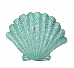 Blue Seashell PNG Image - PurePNG | Free transparent CC0 PNG Image ...