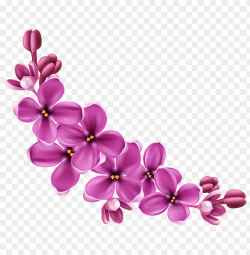 flowers png - Free PNG Images | TOPpng