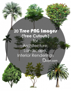 20 Tree PNG Images (Free Cutouts) for Architecture, Landscape ...