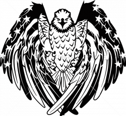 28+ Collection of Freedom Eagle Drawing | High quality, free ...