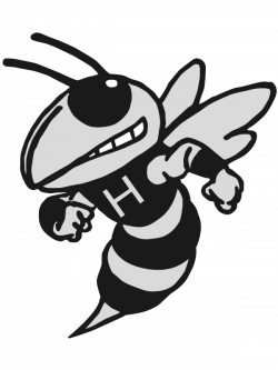 19 Hornet clipart HUGE FREEBIE! Download for PowerPoint ...