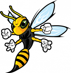 28+ Collection of Hornets Mascot Clipart | High quality, free ...