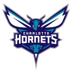 Charlotte Hornets Logo transparent PNG - StickPNG