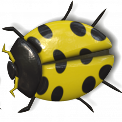 Ladybug Yellow and Black transparent PNG - StickPNG