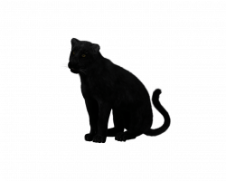 Black Panther Sitting transparent PNG - StickPNG