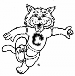 Free Wildcat Mascot, Download Free Clip Art, Free Clip Art ...