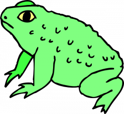 Warty Frog Clip Art at Clker.com - vector clip art online, royalty ...