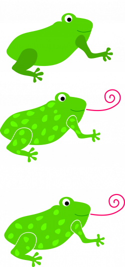 Clipart - frog, granota, grenouille