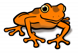 Toad clipart orange - Pencil and in color toad clipart orange