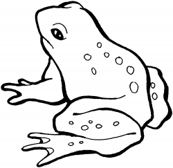 Frog black and white frog clipart black and white 2 ...