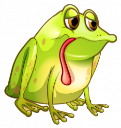 6.png | Pinterest | Frogs and Album