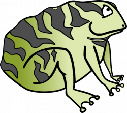 Toad 3 Clip Art at Clker.com - vector clip art online, royalty free ...