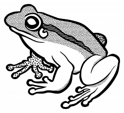 Frog Line Art Collection (53+)