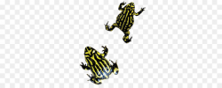 Frog Cartoon clipart - Amphibians, Frog, Yellow, transparent ...