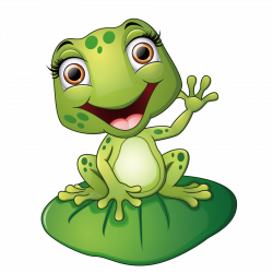 Frog Cartoon Illustration - The frog on the lotus leaf 1800*1800 ...