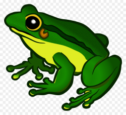 Frog Cartoon clipart - Frog, transparent clip art