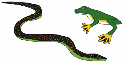 Serpents and Frogs That Fly by WildandNatureFan on DeviantArt