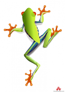 Free Tree Frog Cliparts, Download Free Clip Art, Free Clip ...
