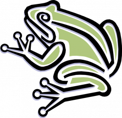 Green Frog - Vector Image