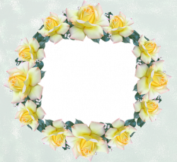 Free photo Frame Design Roses Border Butterfly - Max Pixel