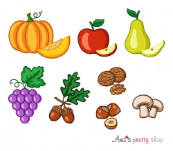 Autumn fruits clipart, pumpkin clipart, apple clipart, pear, grapes, acorn,  walnut, hazelnuts clipart, mushrooms, autumn vector illustration