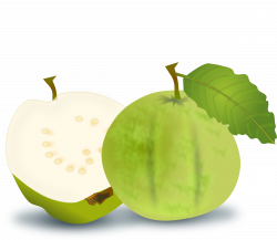 28+ Collection of Guava Clipart Transparent | High quality, free ...