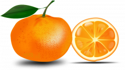 Orange Png Image Download PNG Image | illustrator | Pinterest