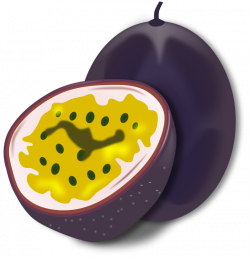 Free Fruit Vector, Download Free Clip Art, Free Clip Art on Clipart ...
