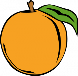 Peach Fruit Clipart - 2018 Clipart Gallery