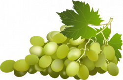 Grapes vine clipart grape with vine leaf clip art id image - Clipartix