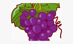 Grapes Clipart Pop Art - Grapes Fruit Clip Art #2571533 ...