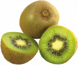 Kiwi Clipart transparent background - Free Clipart on ...