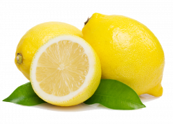 lemon-fruits-png-transparent-images-clipart-icons-pngriver-download ...