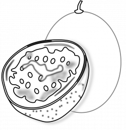 clipartist.net » Clip Art » food passion fruit passion fruit SVG