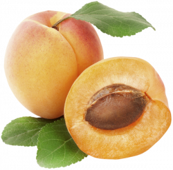 Apricot PNG Clipart Picture | Ovocie (fruit) | Pinterest | Clip art ...